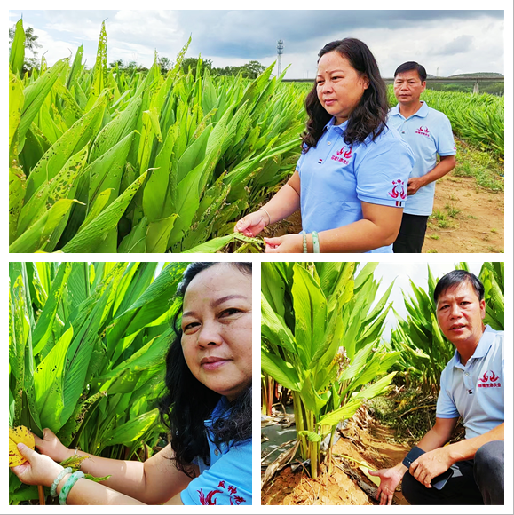 图片2.png 图片2.png