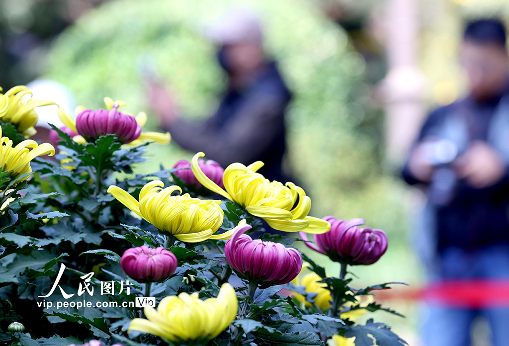 MAIN1761786069435UQHGSZ90D7.jpg MAIN1761786069435UQHGSZ90D7.jpg