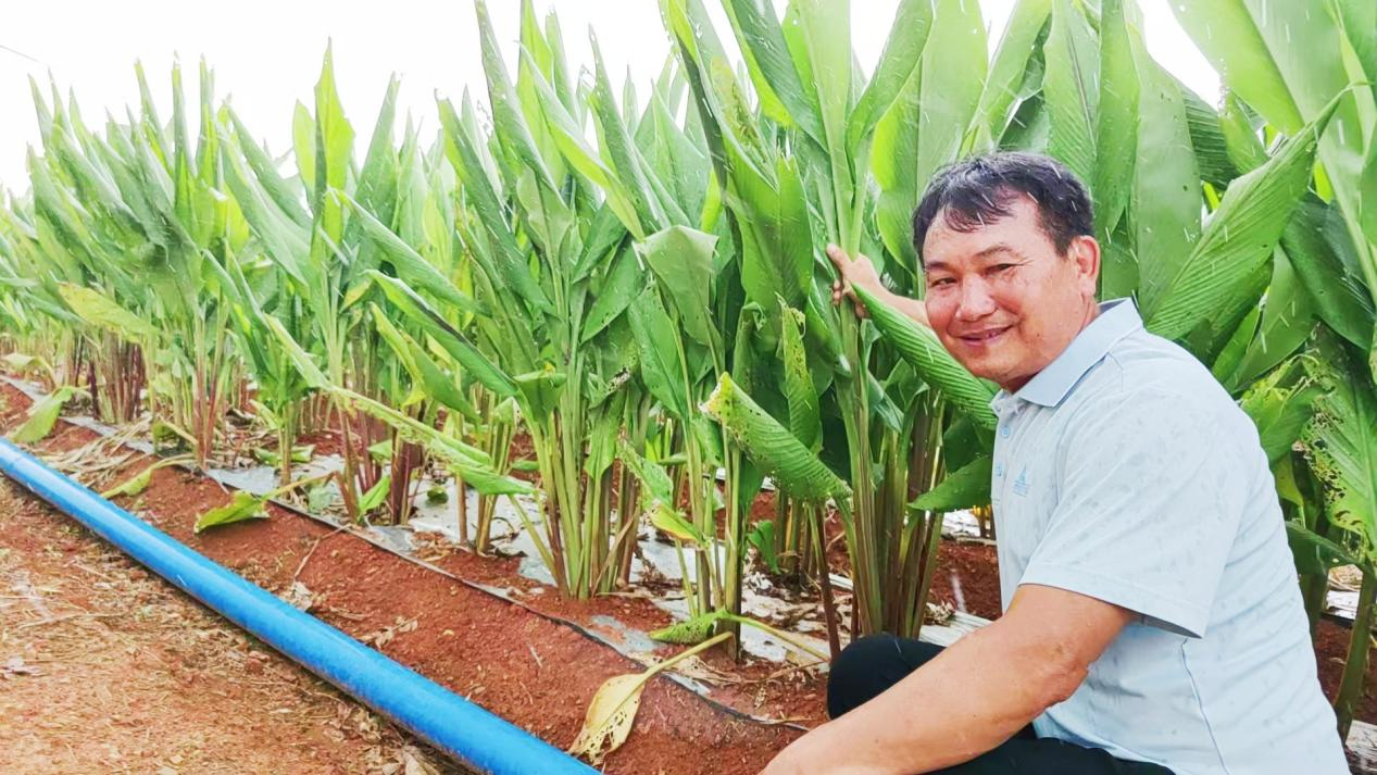 图片3.png 图片3.png