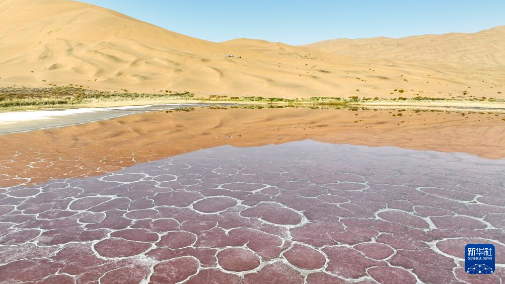 2ad467b5120e4d214a28bb8aba42fda3_202510230da6a97738c44ced8de134eab478010c_202510239d541ef2e0c54bd38f7c8dea83dc3353.jpg 2ad467b5120e4d214a28bb8aba42fda3_202510230da6a97738c44ced8de134eab478010c_202510239d541ef2e0c54bd38f7c8dea83dc3353.jpg