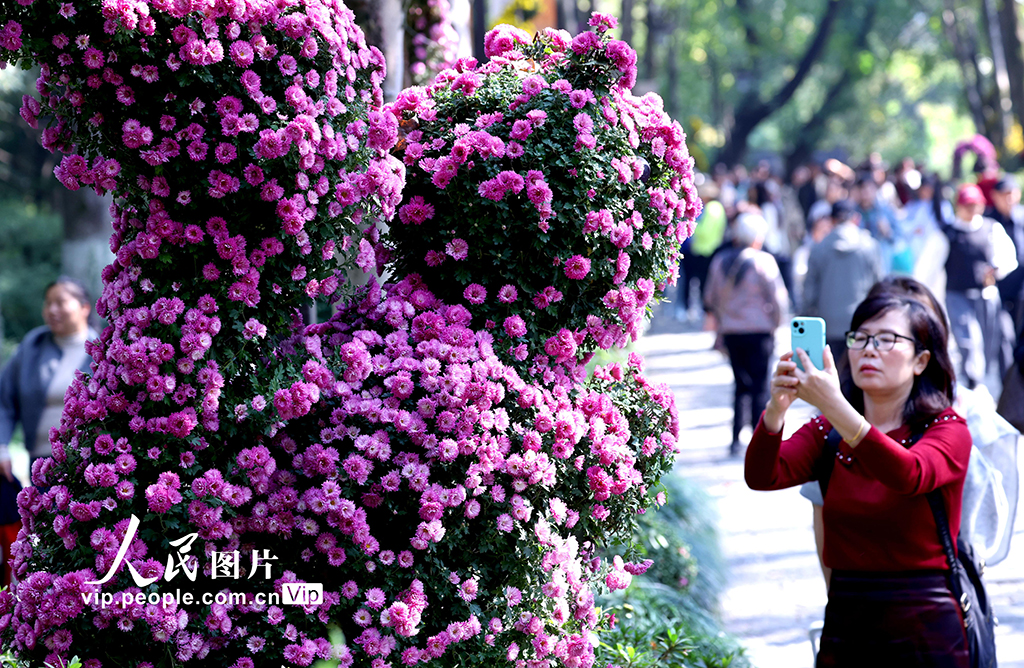 MAIN17617860694094ABOWVD4UG.jpg MAIN17617860694094ABOWVD4UG.jpg