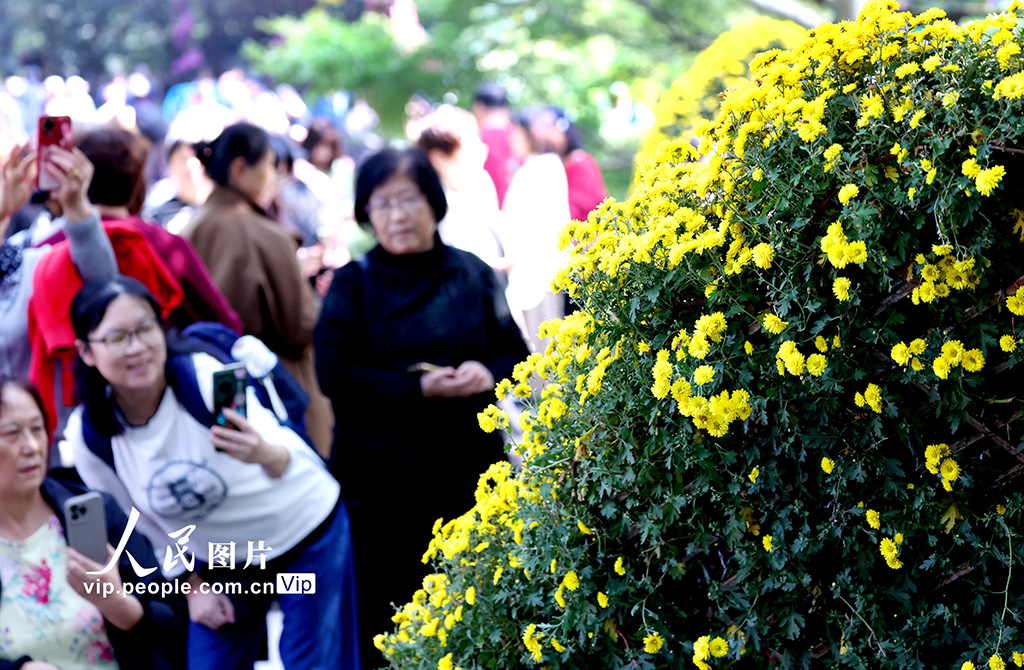 MAIN1761786070194KREXB0F3AP.jpg MAIN1761786070194KREXB0F3AP.jpg