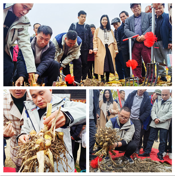 图片5.png 图片5.png