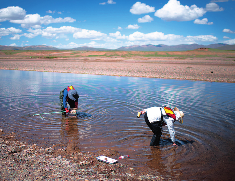 20251115601b941aee684b5d9424b0d8ffca47e2_20251115625f0604b32949b293d90013256eedb2.png 20251115601b941aee684b5d9424b0d8ffca47e2_20251115625f0604b32949b293d90013256eedb2.png