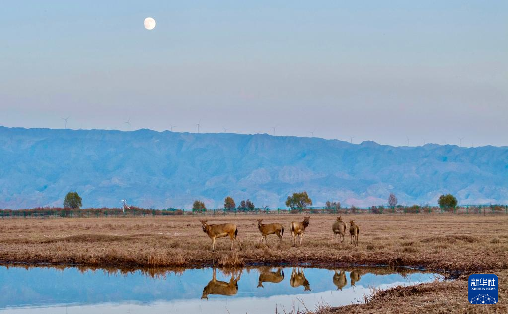 6f125275e45def22512c211d8e3c8956_2025110548450452e9084c1a9cc473fdaa17da39_202511050b65b185aaff4f64b1e469c3f11760cc.jpg 6f125275e45def22512c211d8e3c8956_2025110548450452e9084c1a9cc473fdaa17da39_202511050b65b185aaff4f64b1e469c3f11760cc.jpg