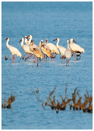 9269711a-d4cc-46ac-8bd8-e8381d372e7c.jpg 9269711a-d4cc-46ac-8bd8-e8381d372e7c.jpg