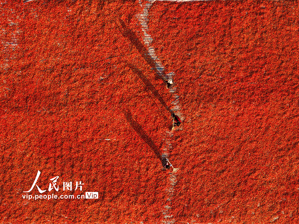 MAIN176213156459319ENLPQRLH.jpg MAIN176213156459319ENLPQRLH.jpg