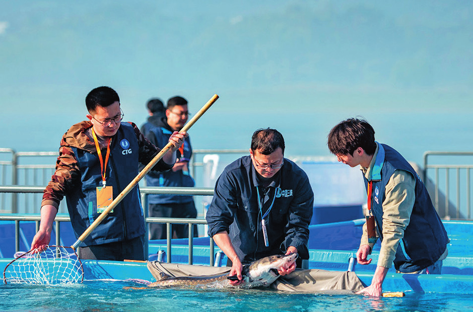 20251115601b941aee684b5d9424b0d8ffca47e2_20251115478d923f55f44923904c5a45774fa6c4.png 20251115601b941aee684b5d9424b0d8ffca47e2_20251115478d923f55f44923904c5a45774fa6c4.png