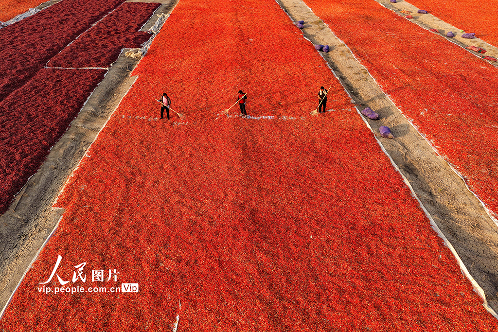 MAIN1762131572045OFCRW1LMV9.jpg MAIN1762131572045OFCRW1LMV9.jpg