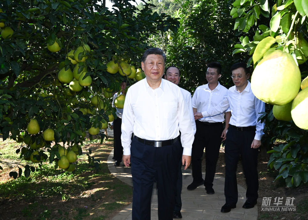 MbGDOu1GOK7yTShl.jpg MbGDOu1GOK7yTShl.jpg