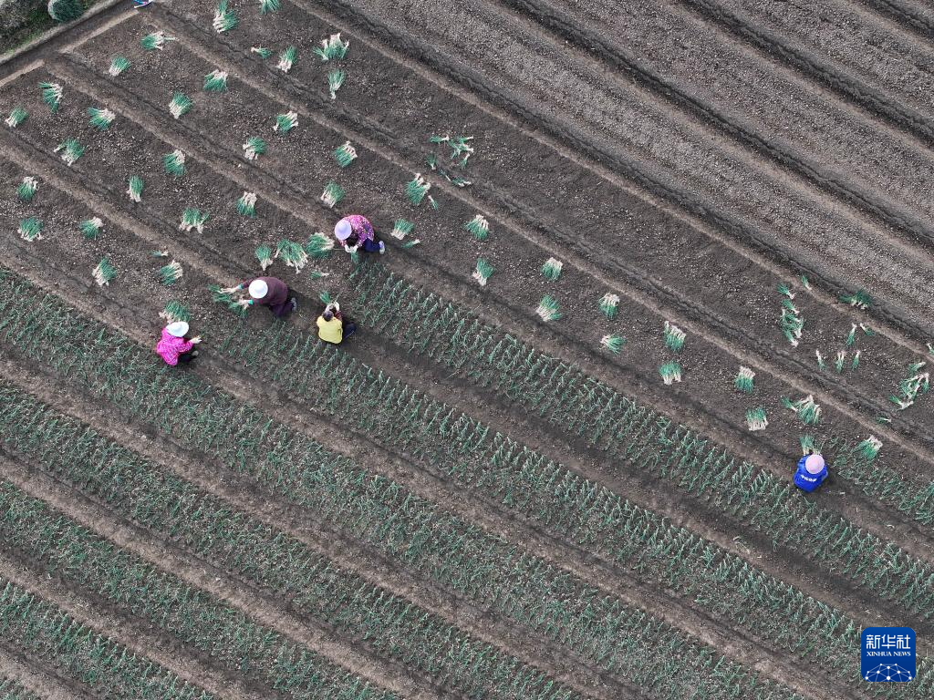 2671282220820574023.png 2671282220820574023.png