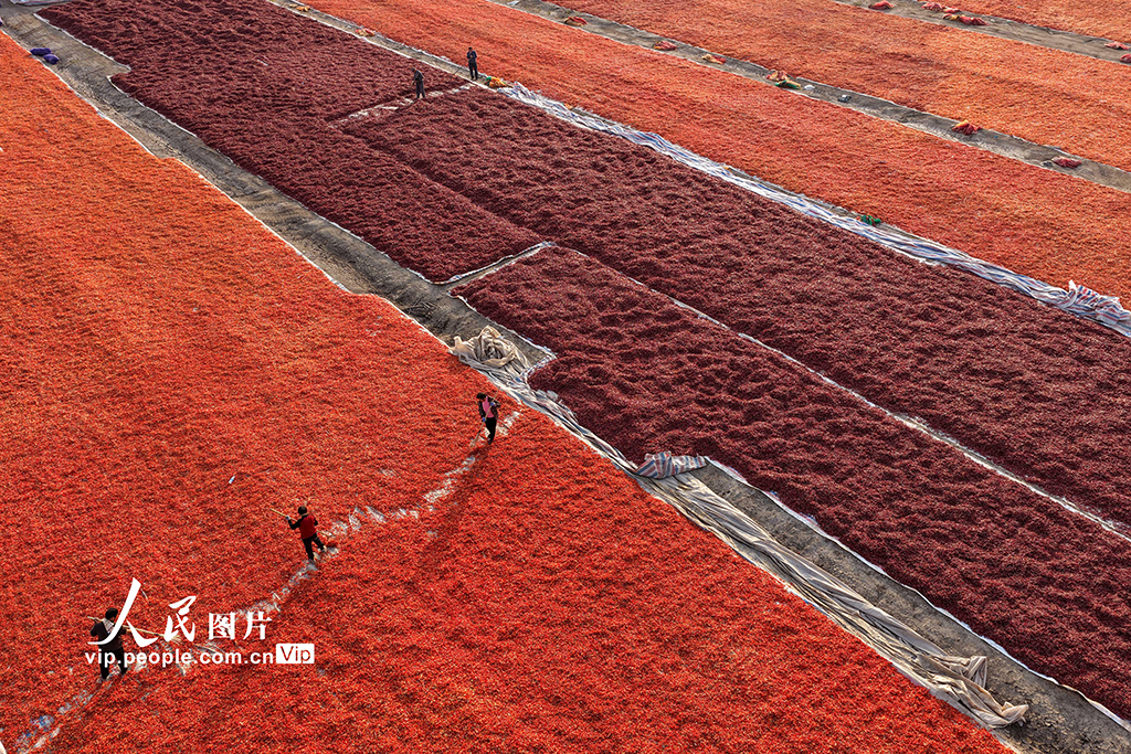 MAIN1762131572104P9PGUFTKDJ.jpg MAIN1762131572104P9PGUFTKDJ.jpg