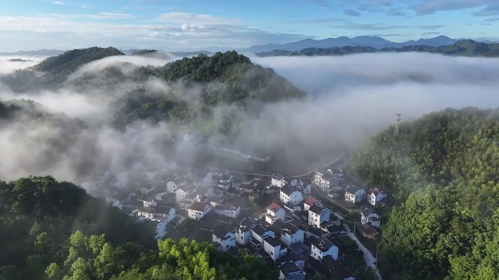 20251113c499f1abc05240b8ba95d5986ca7597c_9a8735d9d86e4966a606e85c0e0d1692.jpg 20251113c499f1abc05240b8ba95d5986ca7597c_9a8735d9d86e4966a606e85c0e0d1692.jpg