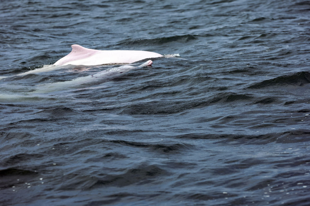 20251113123876c3b0914fb185a0e433037fd67e_2025111366c0fbd291e9478884fe37a9b70780ba.jpeg 20251113123876c3b0914fb185a0e433037fd67e_2025111366c0fbd291e9478884fe37a9b70780ba.jpeg