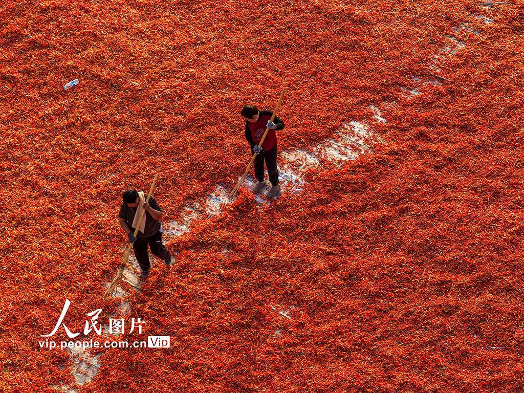 MAIN1762131564559LBJDXPGBHC.jpg MAIN1762131564559LBJDXPGBHC.jpg