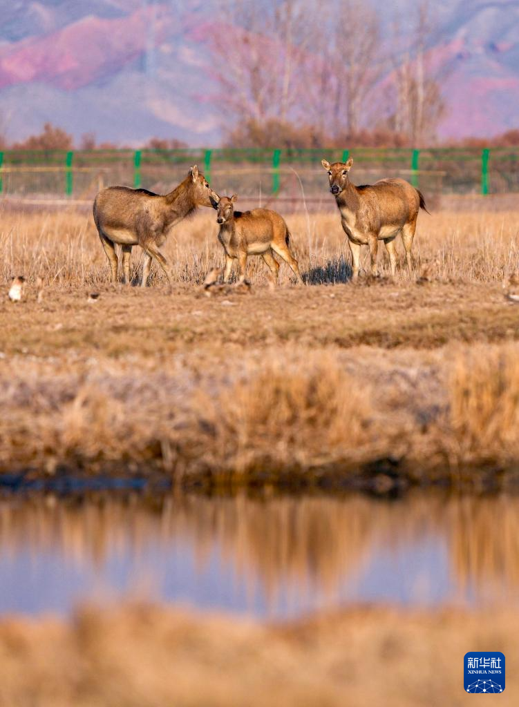 71963edc5555c1eff4fb0fad9d1f3c18_2025110548450452e9084c1a9cc473fdaa17da39_202511051864c9f5b62b48ec9677a274406e53fd.jpg 71963edc5555c1eff4fb0fad9d1f3c18_2025110548450452e9084c1a9cc473fdaa17da39_202511051864c9f5b62b48ec9677a274406e53fd.jpg