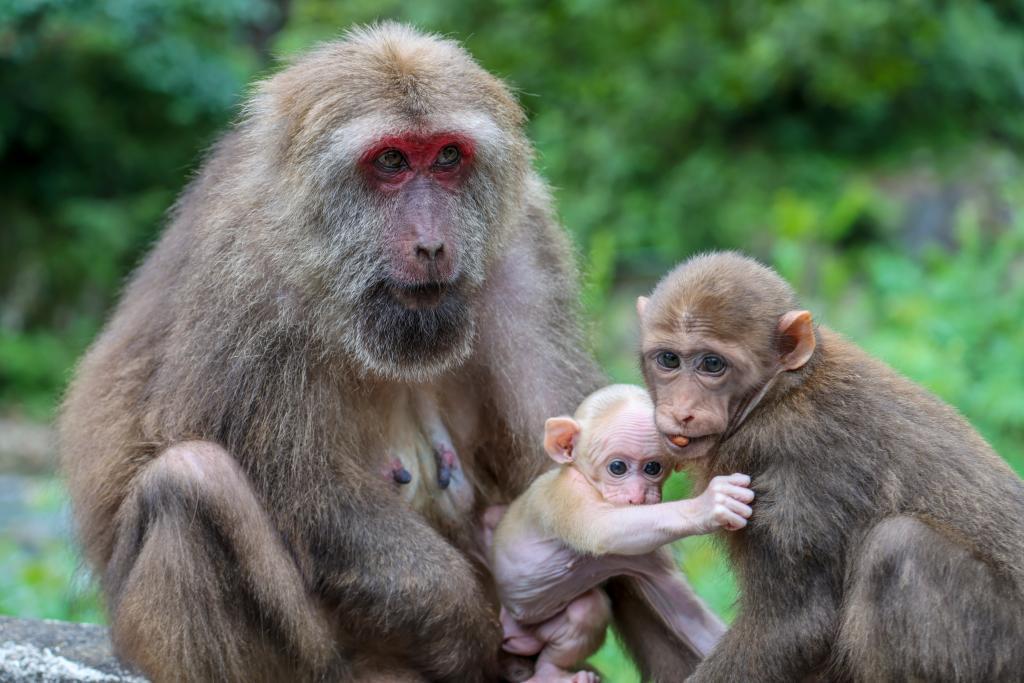 9318730_9b26692a-ac0c-459a-9b32-cece18bfd31bcopycopycopy.jpg 9318730_9b26692a-ac0c-459a-9b32-cece18bfd31bcopycopycopy.jpg