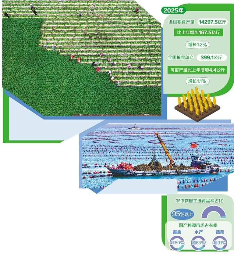 农业综合生产能力进一步提升