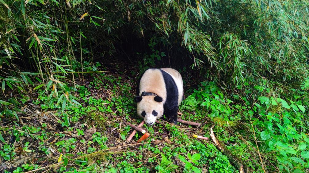 9318730_b3b2b5ca-76b8-4331-b65d-adbd26d4bb3dcopycopycopy.jpg 9318730_b3b2b5ca-76b8-4331-b65d-adbd26d4bb3dcopycopycopy.jpg