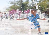 海南：享受冬日暖阳