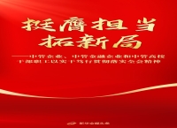 挺膺担当拓新局——中管企业、中管金融企业和中管高校干部职工以实干笃行贯彻落实全会精神