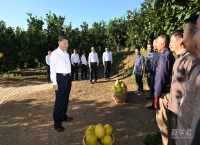 习近平在广东省梅州市考察调研