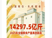 1.4万亿斤新台阶如何站稳？看“大国粮仓 丰收画卷”