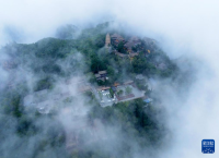 中国之城丨甘肃平凉：千沟万壑间滋养出一座高原绿岛