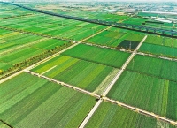 【沿着总书记的足迹】绿色富民