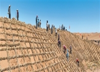 吸引50多个国家和地区的专家学者前来参观考察  麦草方格，方寸之间锁流沙（生态治理中的中国智慧）