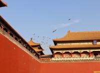 8月北京入境游人数同比增长超30%