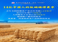 非凡“十四五”丨“农业强国”建设，取得这些新进展！