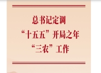 第一观察丨总书记定调“十五五”开局之年“三农”工作