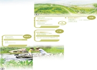 在广州黄埔区，有一条河畅水清的绿色长廊  从南岗河蝶变看水生态向好（大数据观察·点读“十四五”）