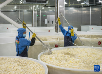 云南镇雄：山区产业园助力乡村振兴