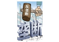 推动全国统一大市场建设 我国反垄断法律体系更加完善