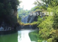 新型城镇化中信阳市浉河区柳林的美丽绘卷：豫南乡村的振兴蝶变