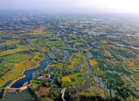 产业赋能兴乡村，信阳市平桥区五里绘就振兴新图景