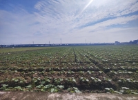 科技赋能，解锁新时代大国粮仓的“智慧密码”