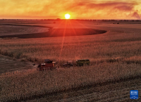 我国秋粮收获已过六成