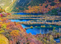 不简单！这个“沟”撑起百亿文旅产业