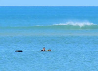 微光成炬，见义勇为之光照亮齐鲁大地