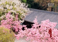 千城百县看中国｜福建福州：鼓楼冬暖