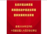 新华鲜报丨三部重要法律案将提请2026年全国人代会审议
