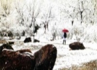 辽宁营造花式过冬新场景