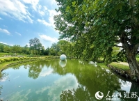 江苏宜兴乡村蝶变：从“一处美”到“全域兴”