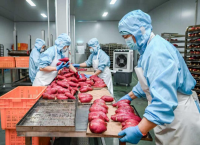 神州答卷｜集群发展 串珠成链 创新赋能——河北省县域经济发展观察