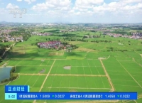 全国耕地灌溉面积达10.86亿亩