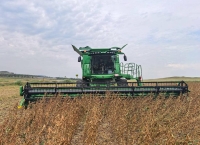 丰收在望 各地多举措抓好秋粮生产